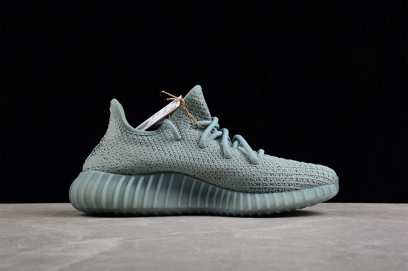 Yeezy 350 V2 Jade Ash/Salt/Core Black 17