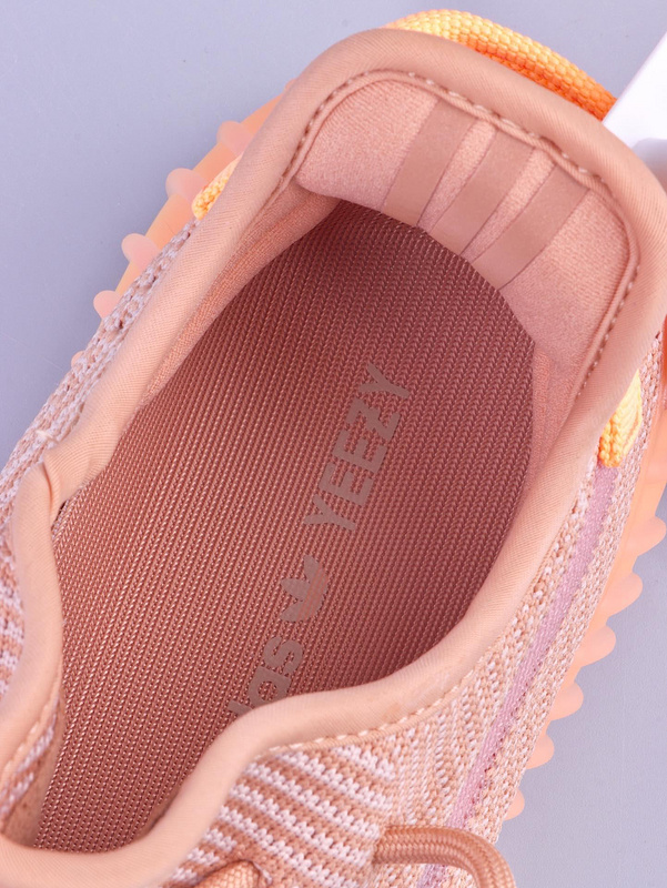 Gt Yeezy Boost 350 V2 Clay/Clay/Clay 19