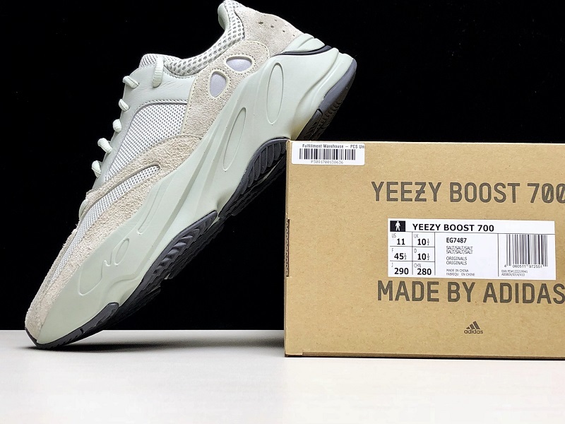 G5 Yeezy Boost 700 V2 Salt Salt/Salt 27