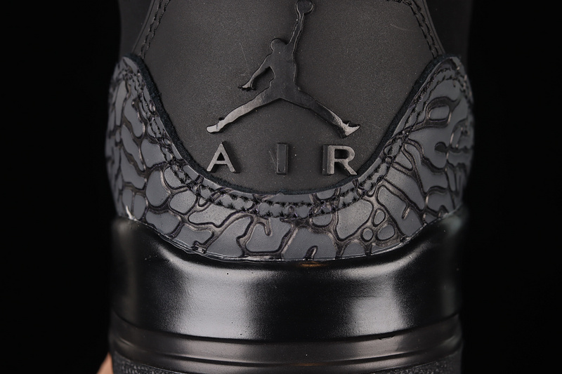 Air Jordan 3 Retro Black Cat Black/Dark Charcoal-Black 19