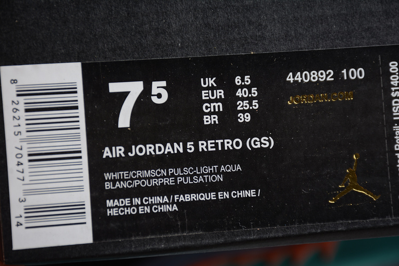 Gz Air Jordan 5 White/Light Blue 19