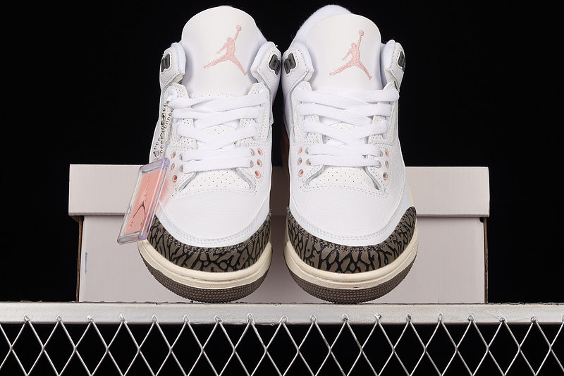 Air Jordan 3 Retro Neapolitan White/Dark Mocha/Atmosphere/Sail 7