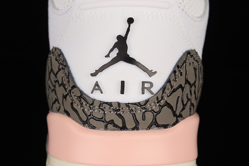 Air Jordan 3 Retro Neapolitan White/Dark Mocha/Atmosphere/Sail 21