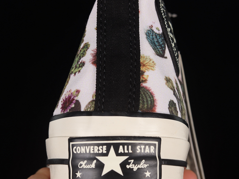 Chuck Taylor All-Star 70S High Succulents White/Green/Egret 11