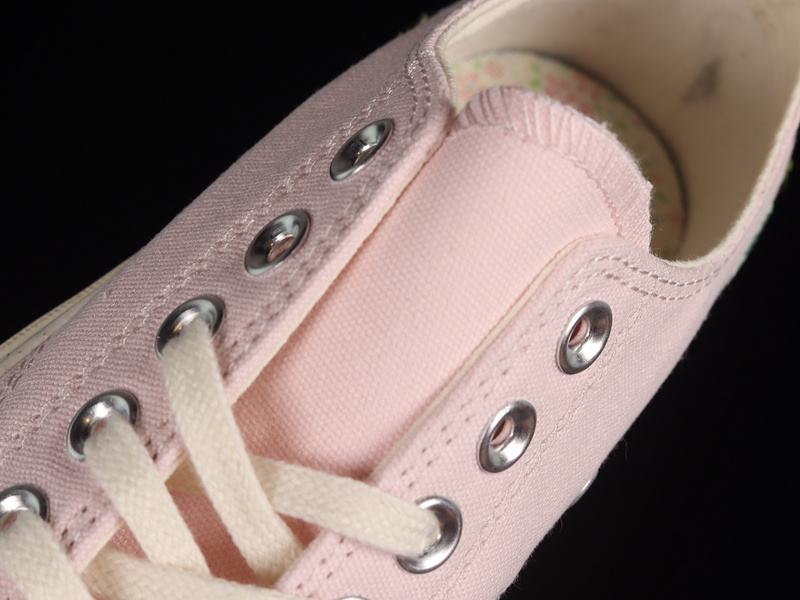 Chuck Taylor 70S Seasonal Pink/Pink/Pink 17