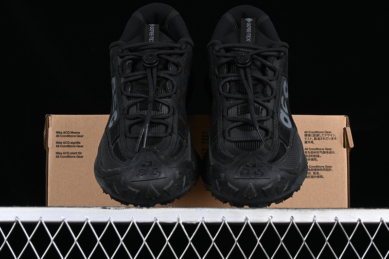 Acg Mountain Fly 2 Low Gtx Se Black 11