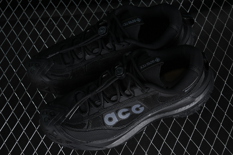 Acg Mountain Fly 2 Low Gtx Se Black 29