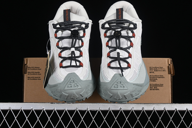 Acg Mountain Fly 2 Low Gtx Se Phantom/Light Silver/Mica Green/Dark Smoke Grey 3