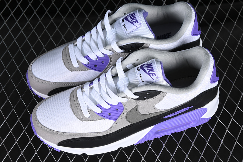 Air Max 90 White/Black/Grey/Purple 27