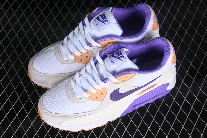 Air Max 90 Sail Purple/White/Grey 17