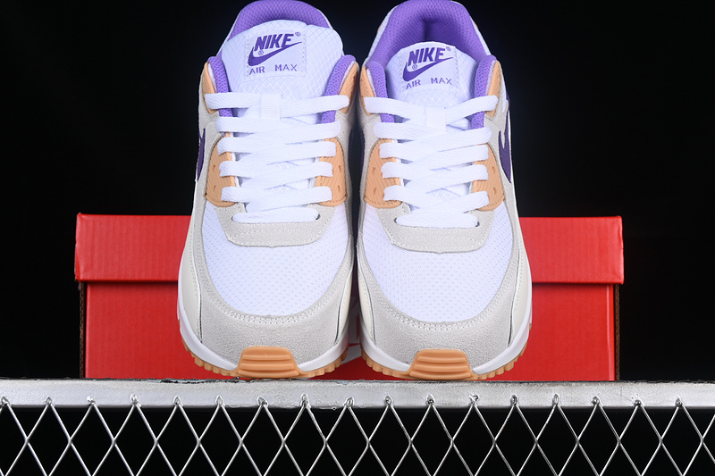 Air Max 90 Sail Purple/White/Grey 19