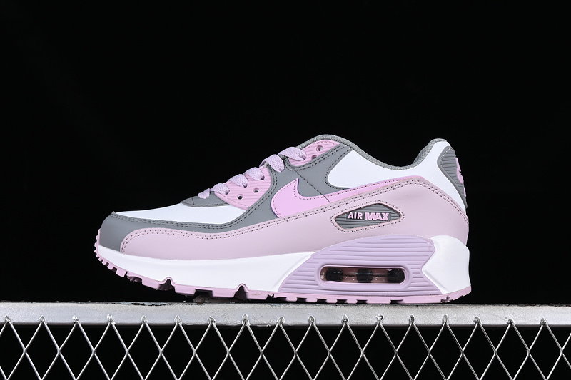 Air Max 90 Grey/White/Purple 5