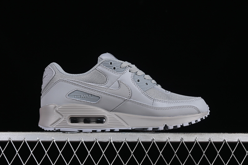 Air Max 90 Wolf Grey/Wolf Grey-Wolf Grey 11