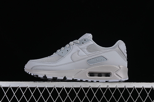 Air Max 90 Wolf Grey/Wolf Grey-Wolf Grey 15