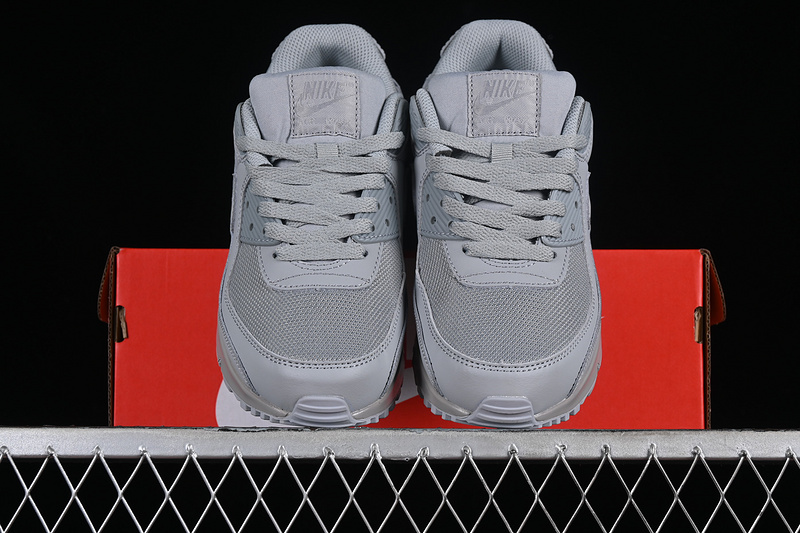 Air Max 90 Wolf Grey/Wolf Grey-Wolf Grey 21