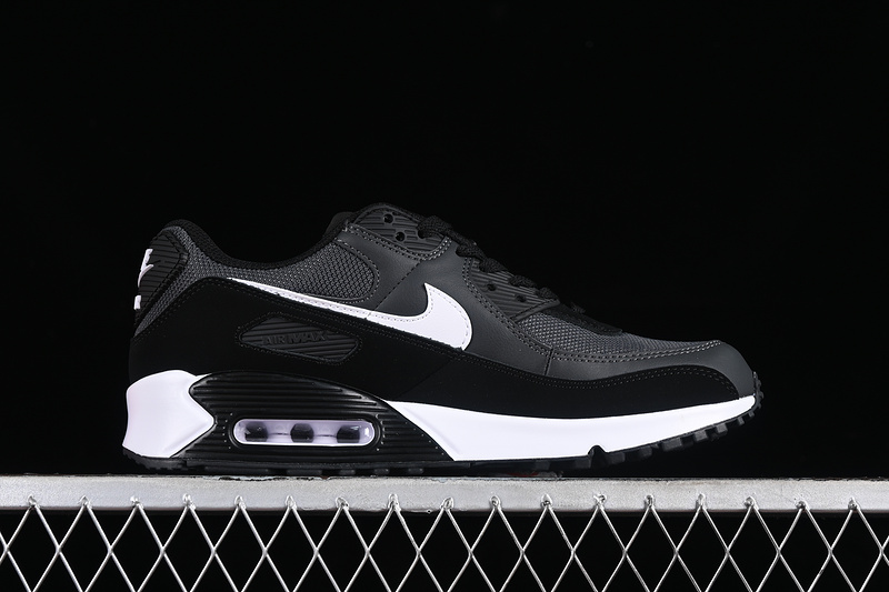 Air Max 90 Iron Grey/Dark Smoke Grey-Black-White 7