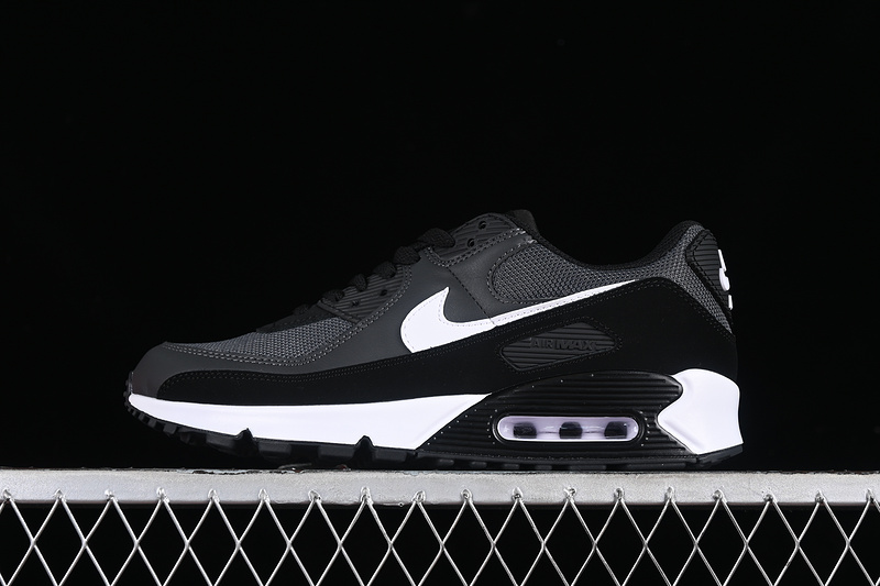 Air Max 90 Iron Grey/Dark Smoke Grey-Black-White 17