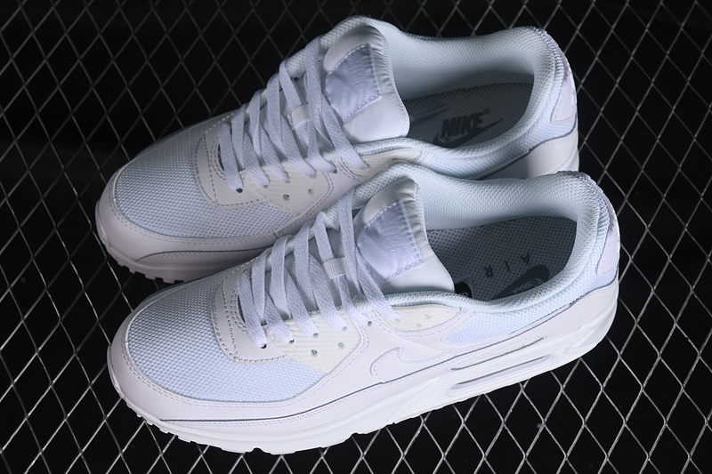 Air Max 90 White/Metallic Silver-White-White 25