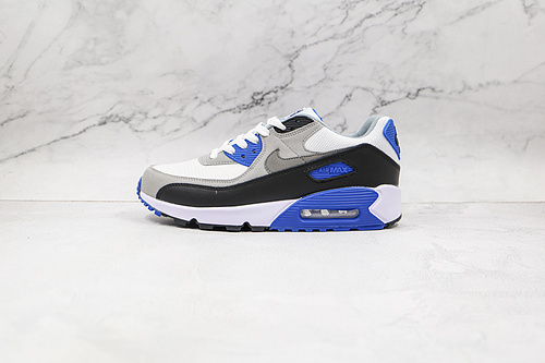 Air Max 90 Hyper Royal/Black/Grey-White 15