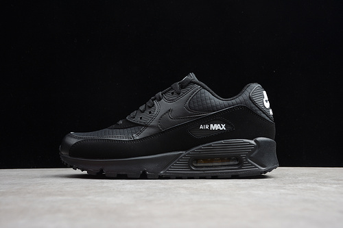 Air Max 90 Essential Black/White 29