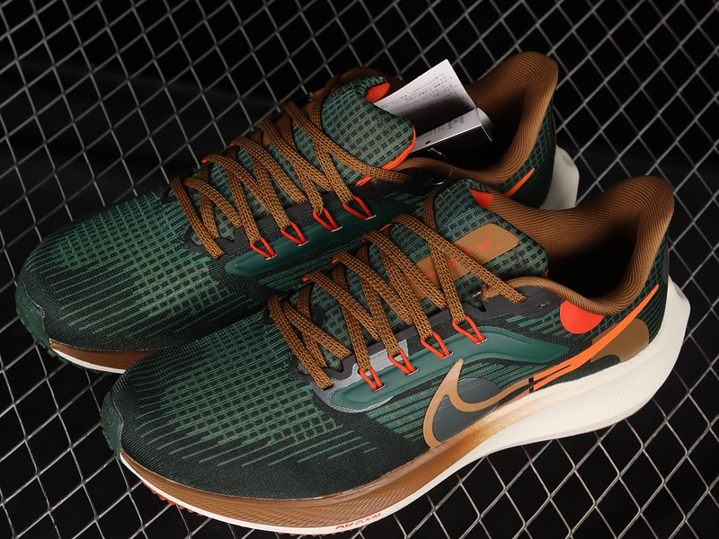 Air Zoom Pegasus 39 A.I.R. Hola Lou Dark Green/White/Brown 7