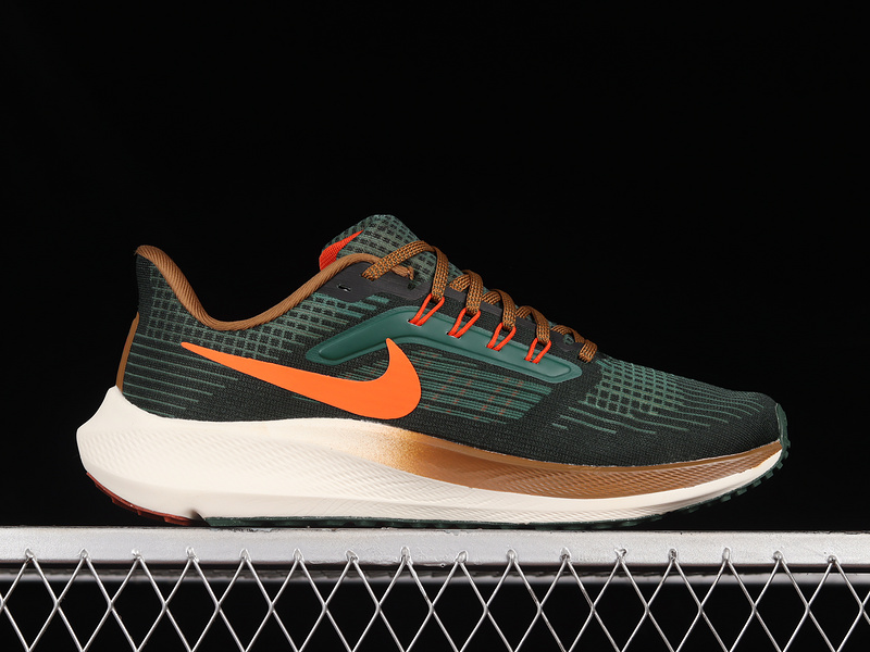 Air Zoom Pegasus 39 A.I.R. Hola Lou Dark Green/White/Brown 27