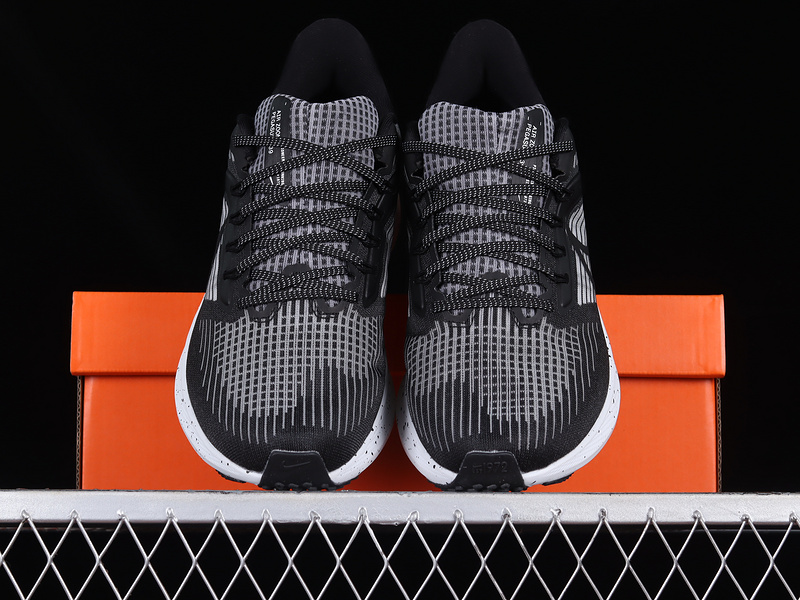 Air Zoom Pegasus 39 Black/White/Light Grey 15