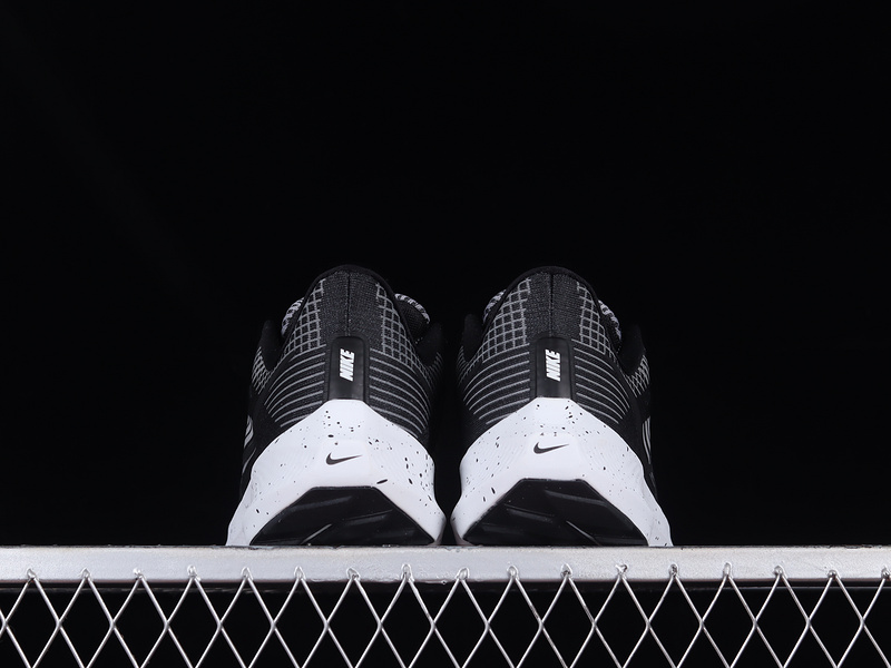 Air Zoom Pegasus 39 Black/White/Light Grey 29