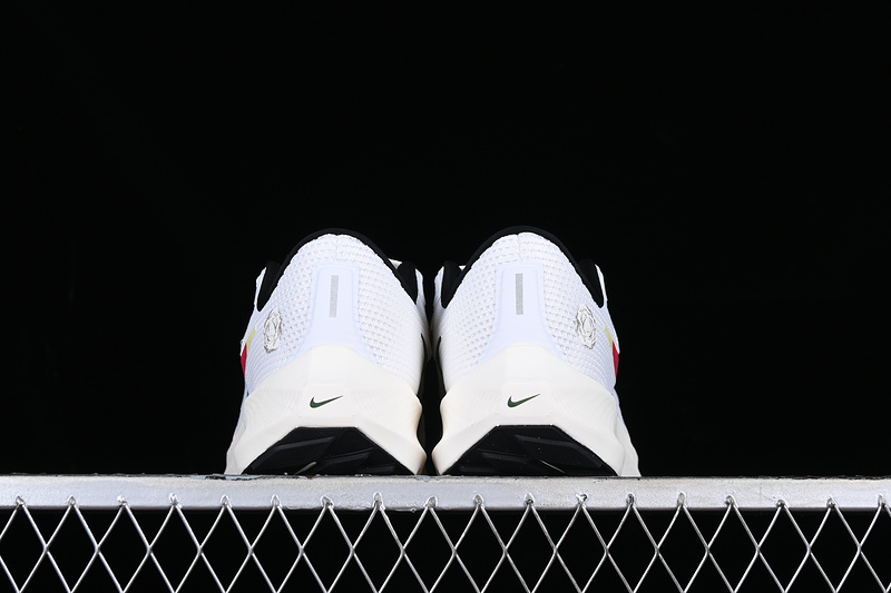 Air Zoom Pegasus 40 White/Multicolored 25