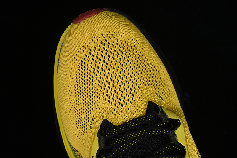 Air Zoom Pegasus 41 Black/Yellow/Red 13