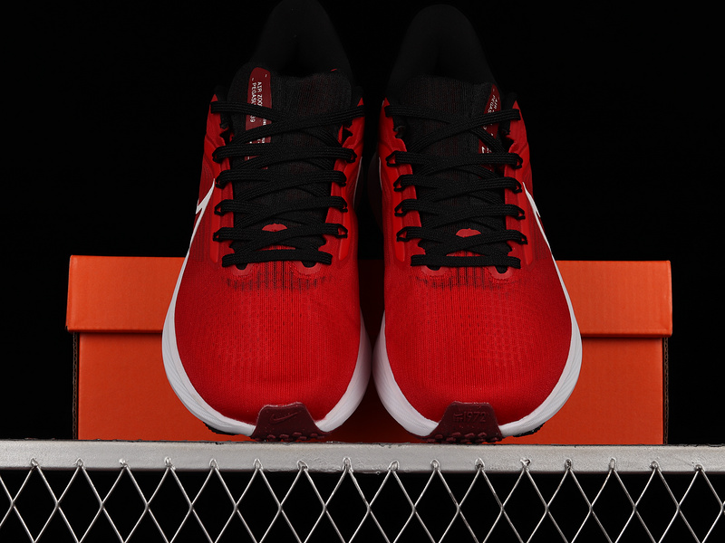 Air Zoom Pegasus 39 Red/Red/White 3