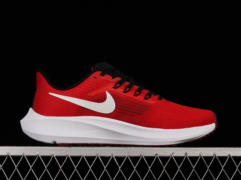 Air Zoom Pegasus 39 Red/Red/White 11