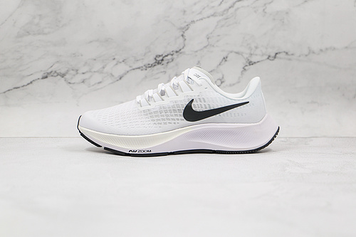 Air Zoom Pegasus 37 Pure Platinum White/Pure Platinum/Black 19