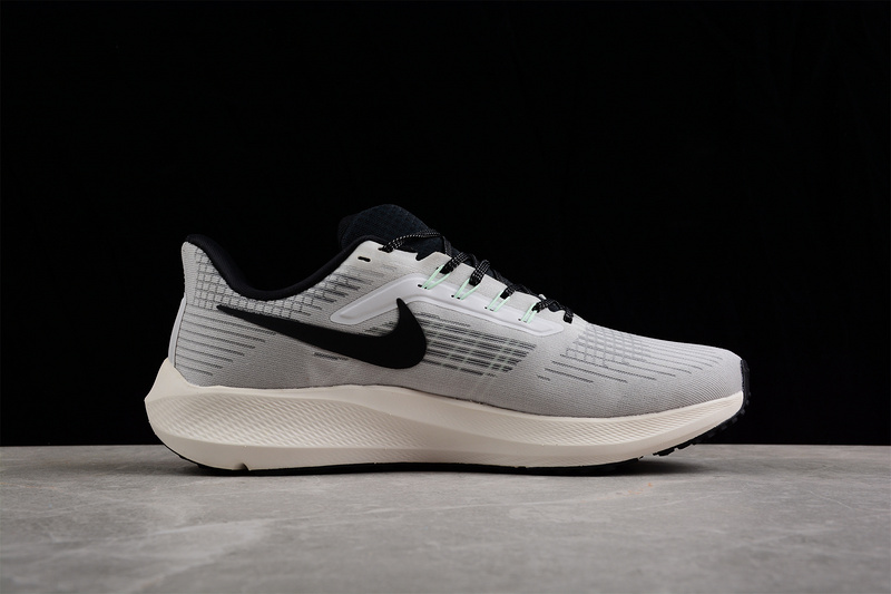 Air Zoom Pegasus 39 Wolf Grey/Black-White 19