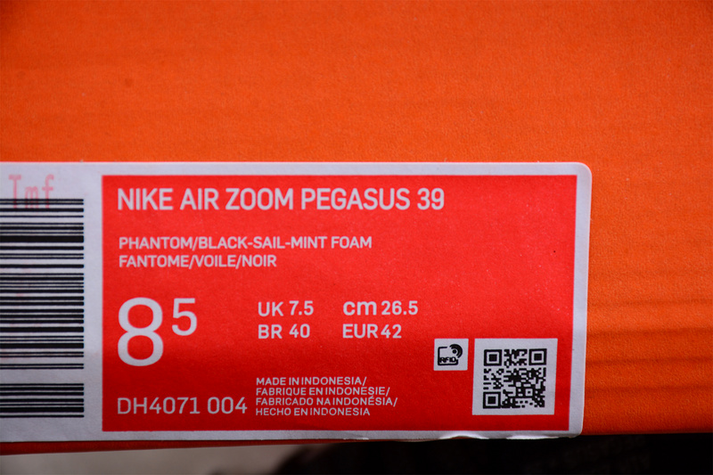 Air Zoom Pegasus 39 Wolf Grey/Black-White 31