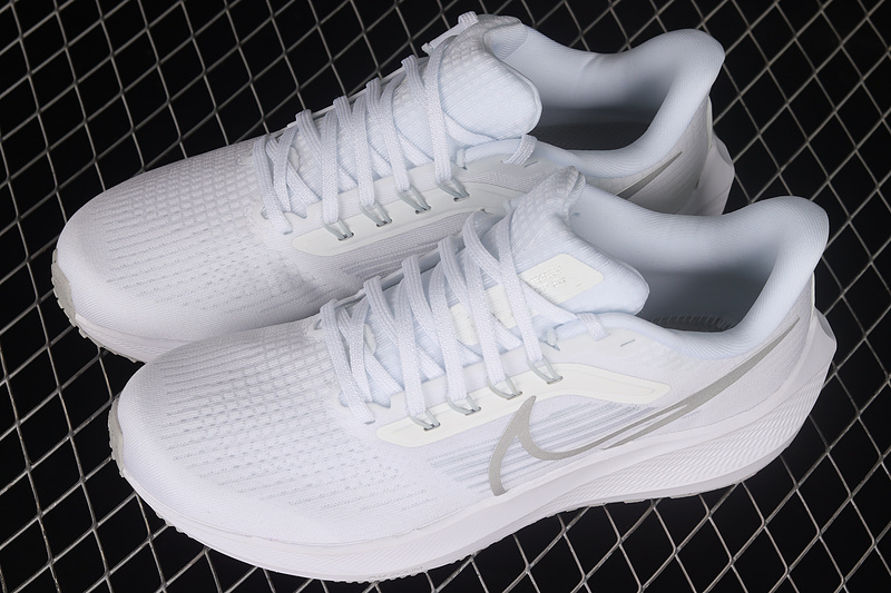 Air Zoom Pegasus 39 White/Silver/White 11