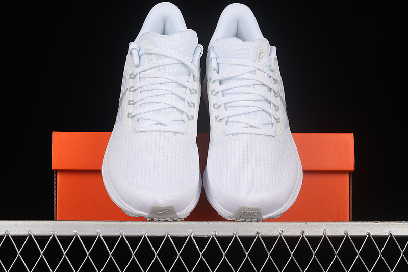 Air Zoom Pegasus 39 White/Silver/White 19