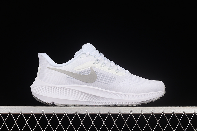 Air Zoom Pegasus 39 White/Silver/White 31