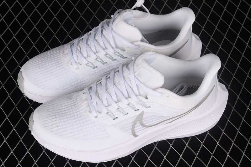 Air Zoom Pegasus 39 White/White/Silver 15