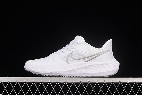 Air Zoom Pegasus 39 White/White/Silver 25