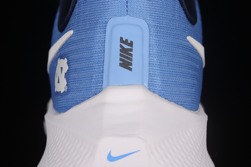 Air Zoom Pegasus 39 Blue/Blue/White 9