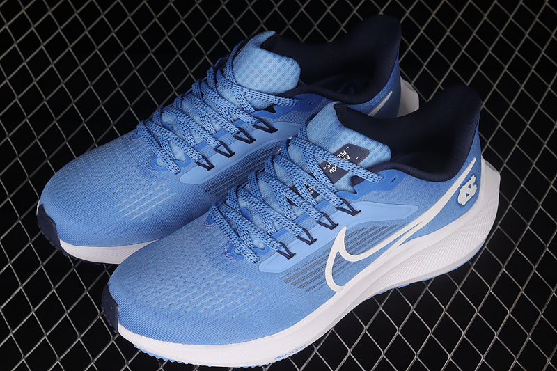 Air Zoom Pegasus 39 Blue/Blue/White 23