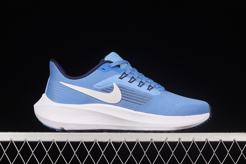 Air Zoom Pegasus 39 Blue/Blue/White 25