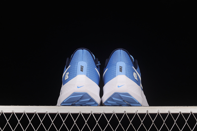 Air Zoom Pegasus 39 Blue/Blue/White 27