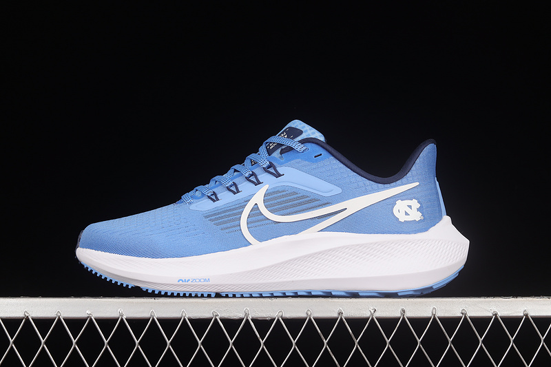 Air Zoom Pegasus 39 Blue/Blue/White 31