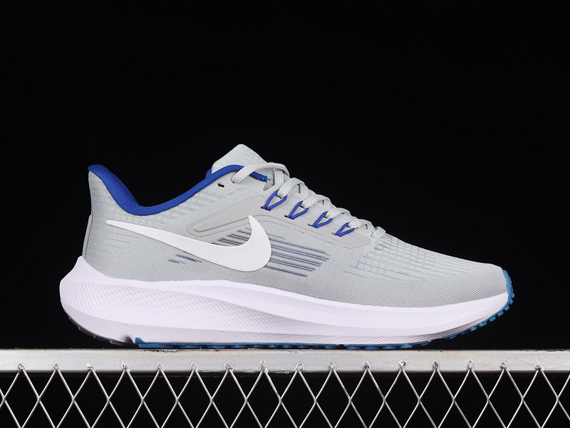 Air Zoom Pegasus 39 Light Grey/Blue/White 19