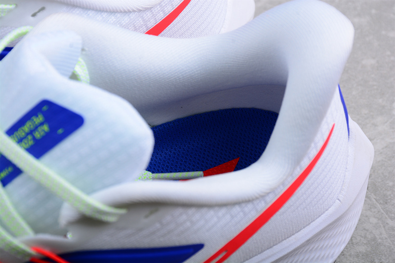 Air Zoom Pegasus 39 White/Blue/Red 3