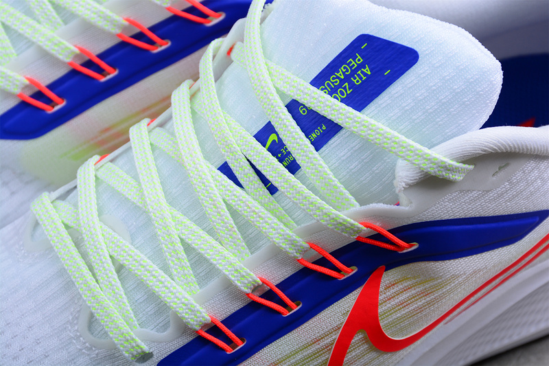 Air Zoom Pegasus 39 White/Blue/Red 15