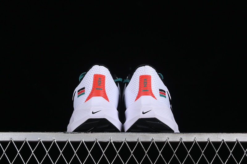 Air Zoom Pegasus 40 White/Black/Red/Green 17