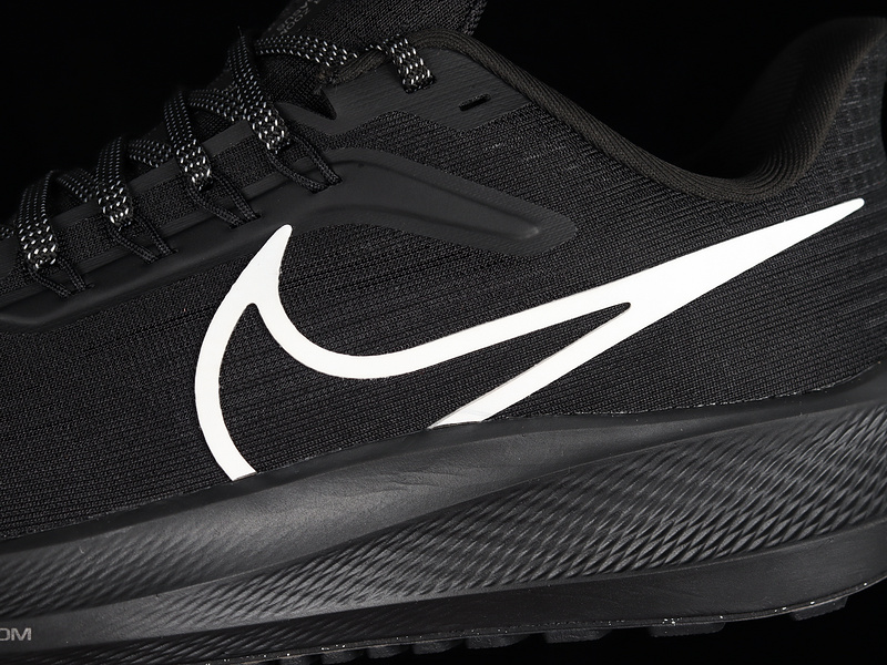 Air Zoom Pegasus 39 Black/Black/Silver 3